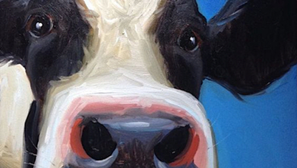 Dieren Koddige Koe CTA