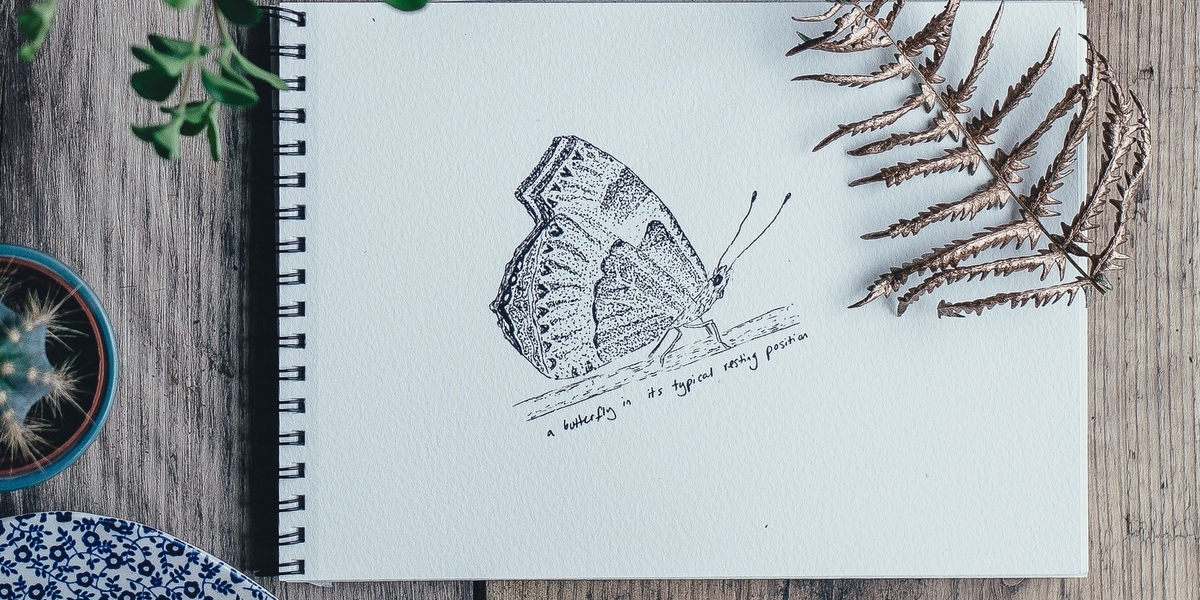 10 Tips om je Schetsboek te vullen